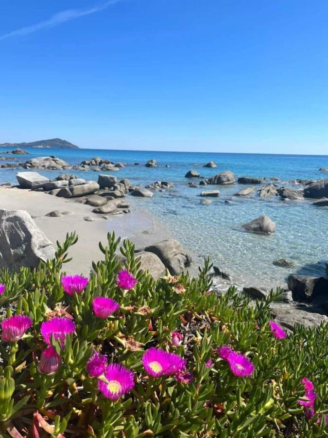 Villa Stella Fronte Mare Porto Frailis อาร์บาตักซ์ ภายนอก รูปภาพ